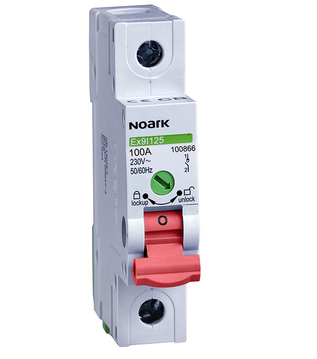 Ex9I125-1P-100A-100866