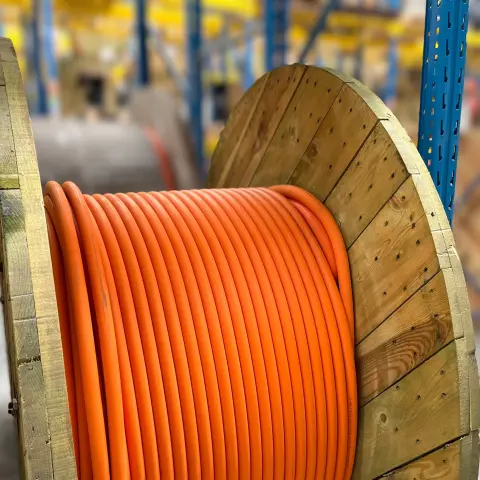 Orange Circular